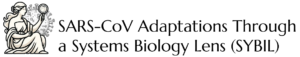 SYBIL Logo